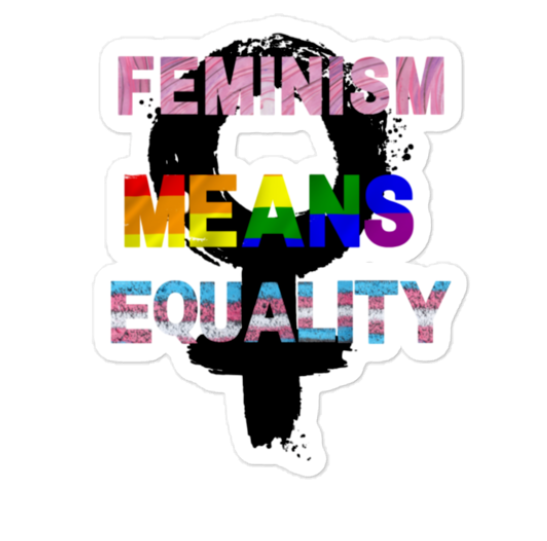 🌈✊ “Feminism Means Equality” Vinyl Sticker – Intersectional Pride Edition Bubble-free